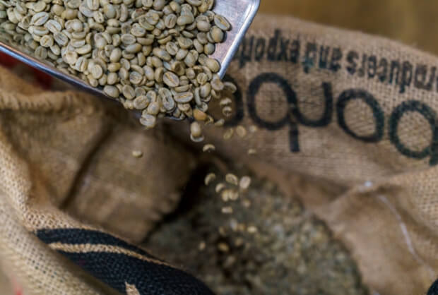 ROBBY(i.e.)COFFEE 豊富な産地の取扱いから、
飲み方にあわせたコーヒー豆を
お選びいただけます。