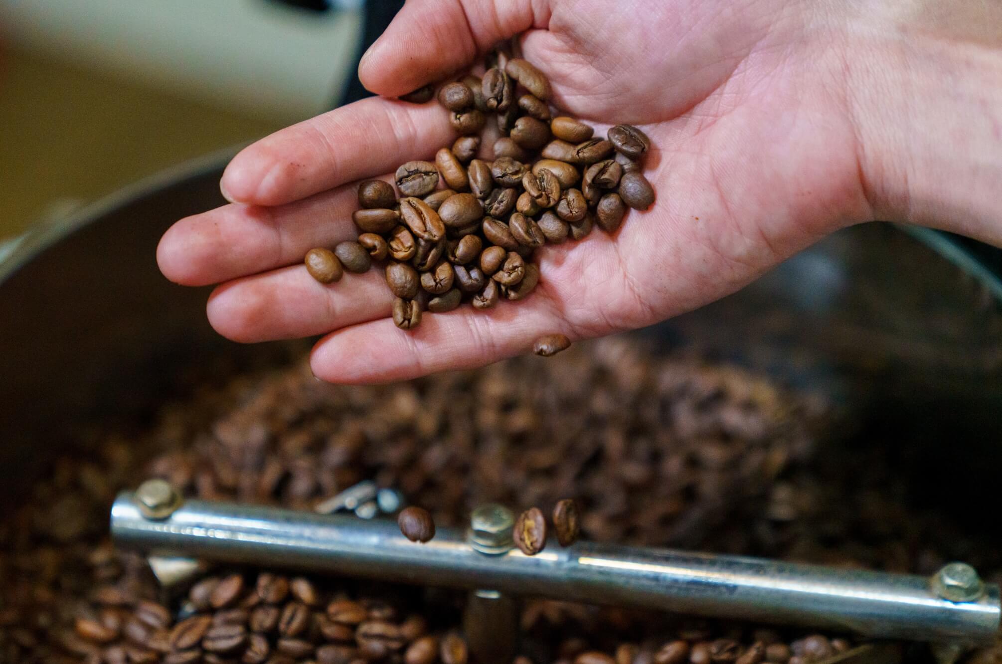 choueccha mart robby coffee margin work